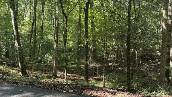 00 River Ridge Road, Blue Ridge, GA 30513