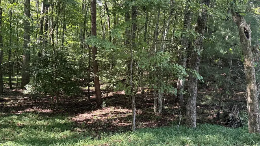 00 River Ridge Road, Blue Ridge, GA 30513 - #2