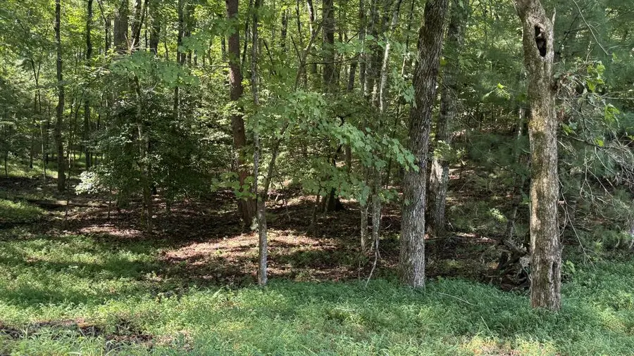 00 River Ridge Road, Blue Ridge, GA 30513 - #3