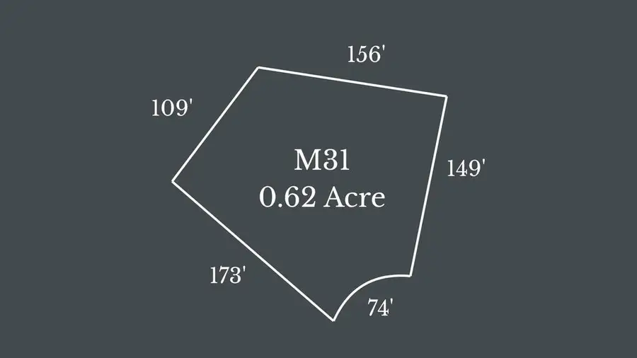 M31 Pine Valley Road, Mineral Bluff, GA 30559 - #3