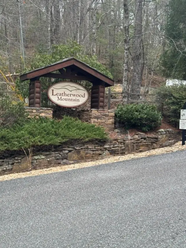 16R Leatherwood Mountain Road, Cherry Log, GA 30522 - #2