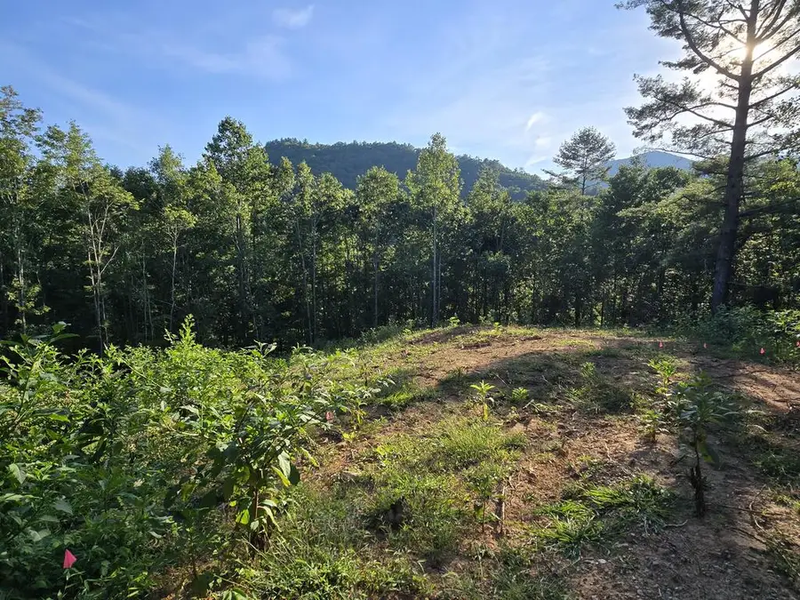 Lot 67 Hi River Country, Hiawassee, GA 30546 - #3