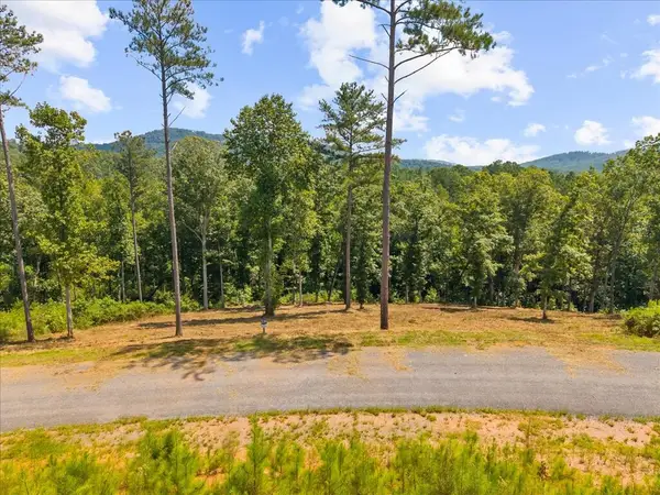 Lot 339 Timber Creek Trail, Talking Rock, GA 30175