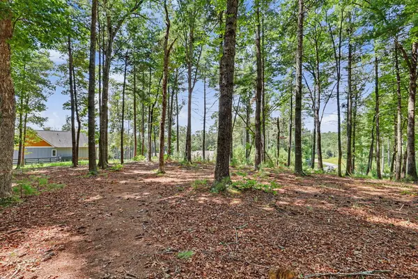 Lot 5 Lot 5, Blairsville, GA 30512