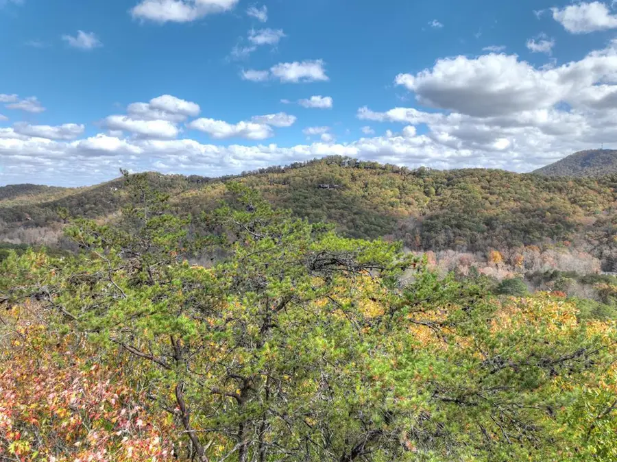 23.26 Ac Weaver Creek Road, Blue Ridge, GA 30513 - #2