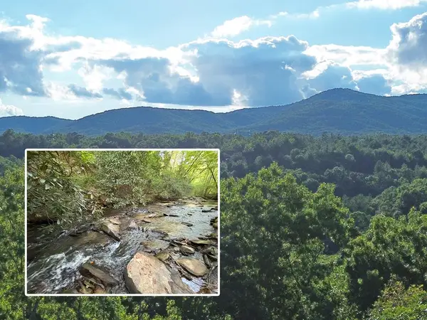 Lots1920 Mt. Springer Road, Ellijay, GA 30540