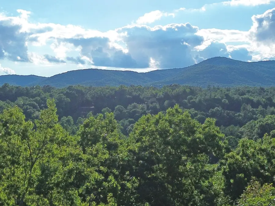 Lots1920 Mt. Springer Road, Ellijay, GA 30540 - #2