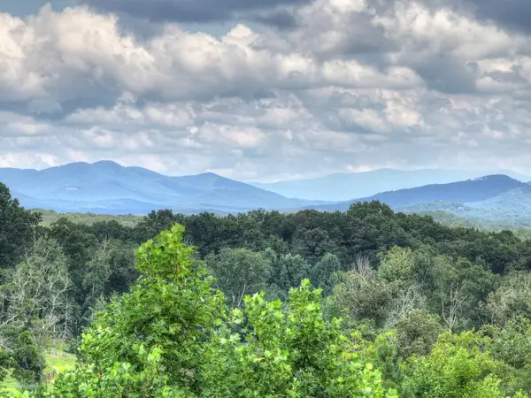 78 Longview Lane, Blue Ridge, GA 30513