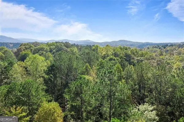 72 Mountain Creek Hollow Drive, Talking Rock, GA 30175