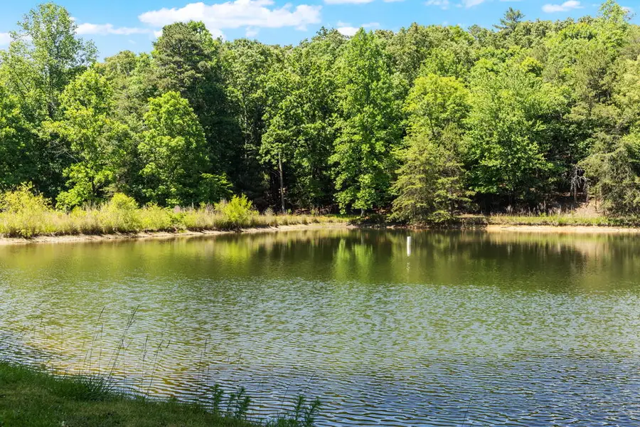 85 Misty Hollow Ridge, Ellijay, GA 30536 - #2