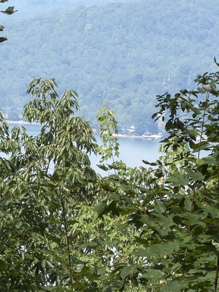 Lot 55 Eagles View Road, Hayesville, NC 28904 - #1