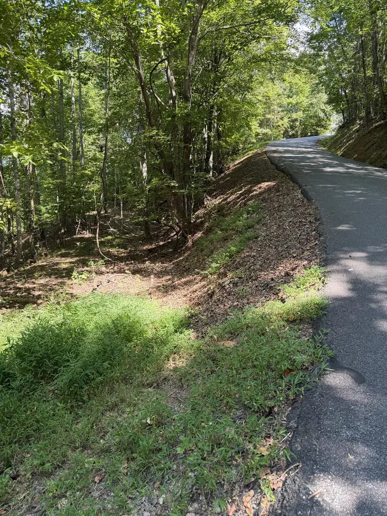 Lot 55 Eagles View Road, Hayesville, NC 28904 - #2