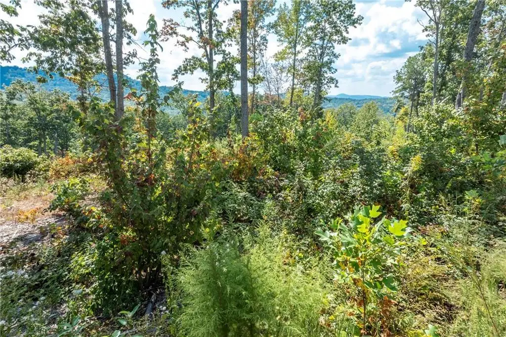 0 Highgrove Drive, Talking Rock, GA 30175 - #1