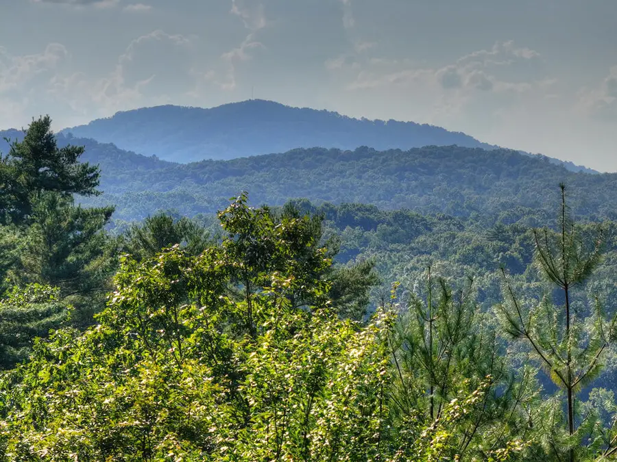 16 Mid Mountain Road, Mineral Bluff, GA 30559 - #2