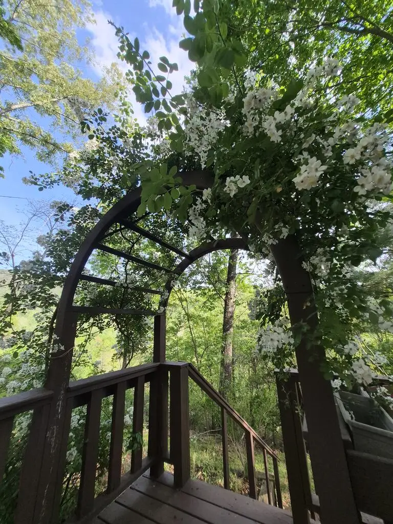 45 Black Bear Trace, Murphy, NC 28906 - #3