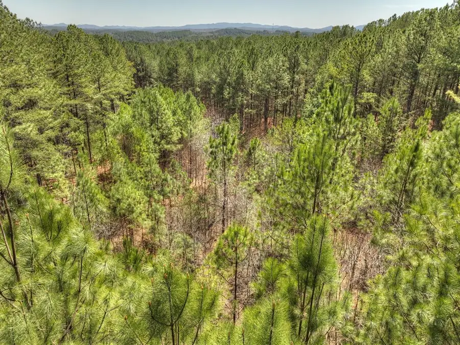 40 & 41 Blue Bird Trail, Copperhill, TN 37317 - #2