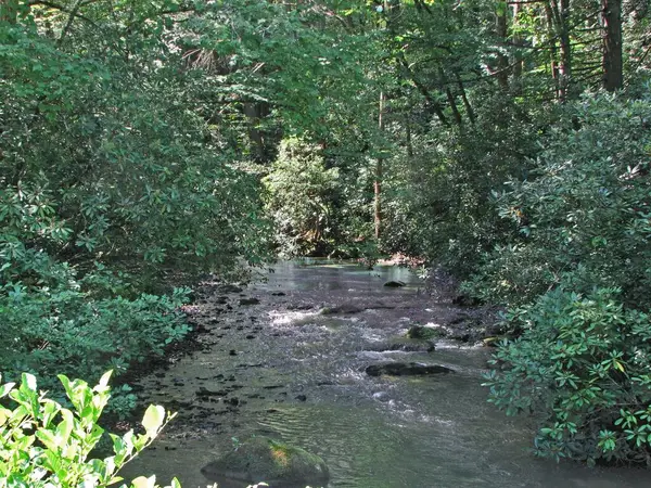 Lot 8 Snowbird Woods Drive, Robbinsville, NC 28771