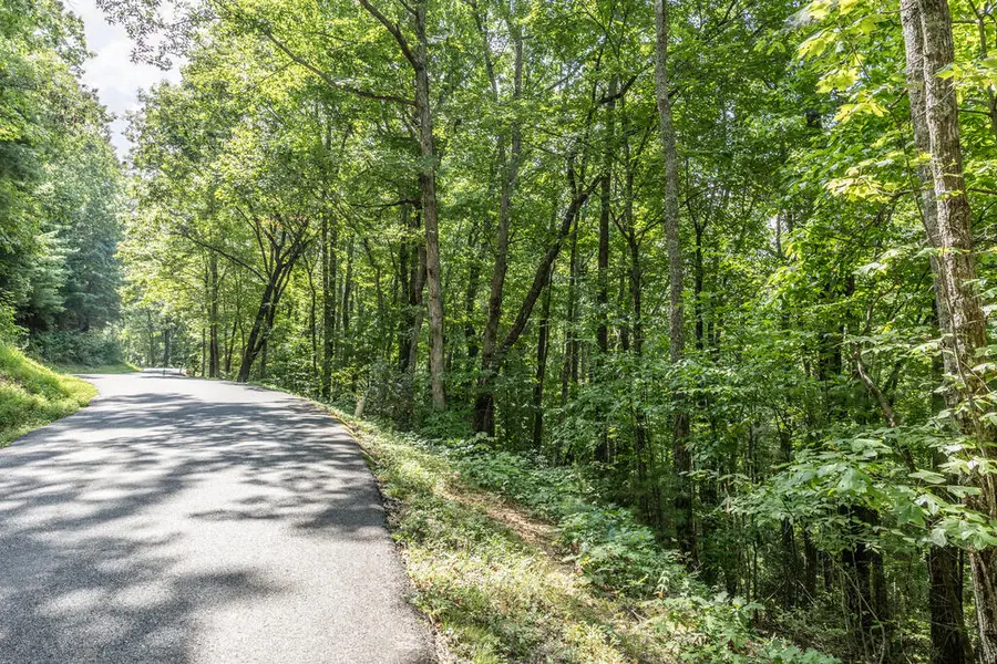 Lot 23 Flat Rock Gap Road, Blairsville, GA 30512 - #3