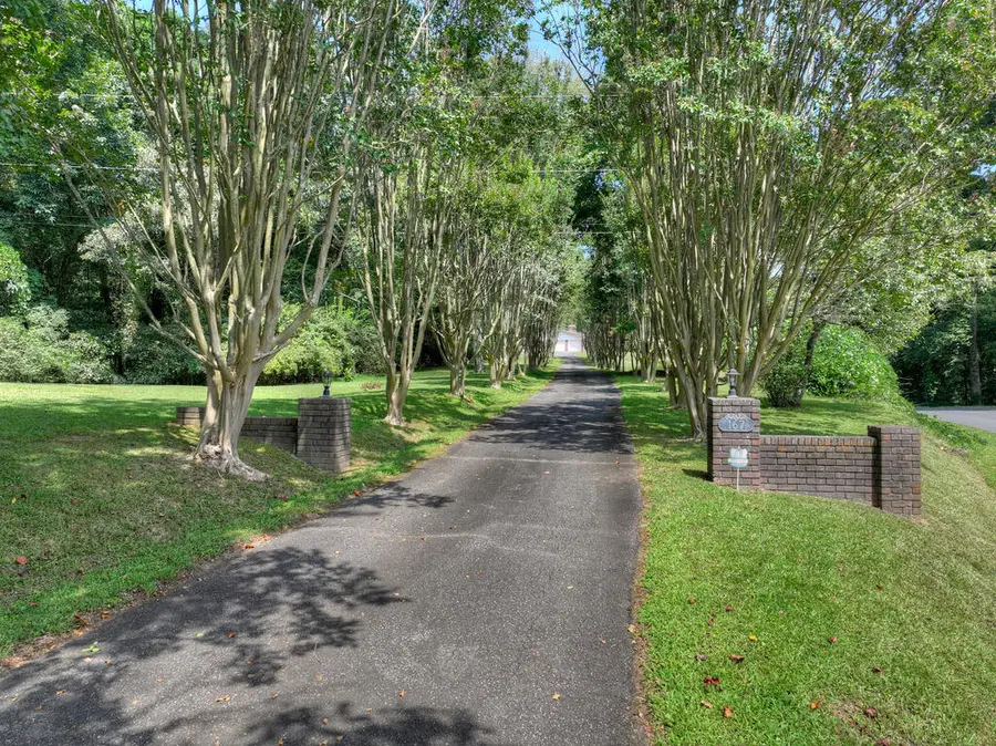 167 Vista Drive, Ellijay, GA 30540 - #3