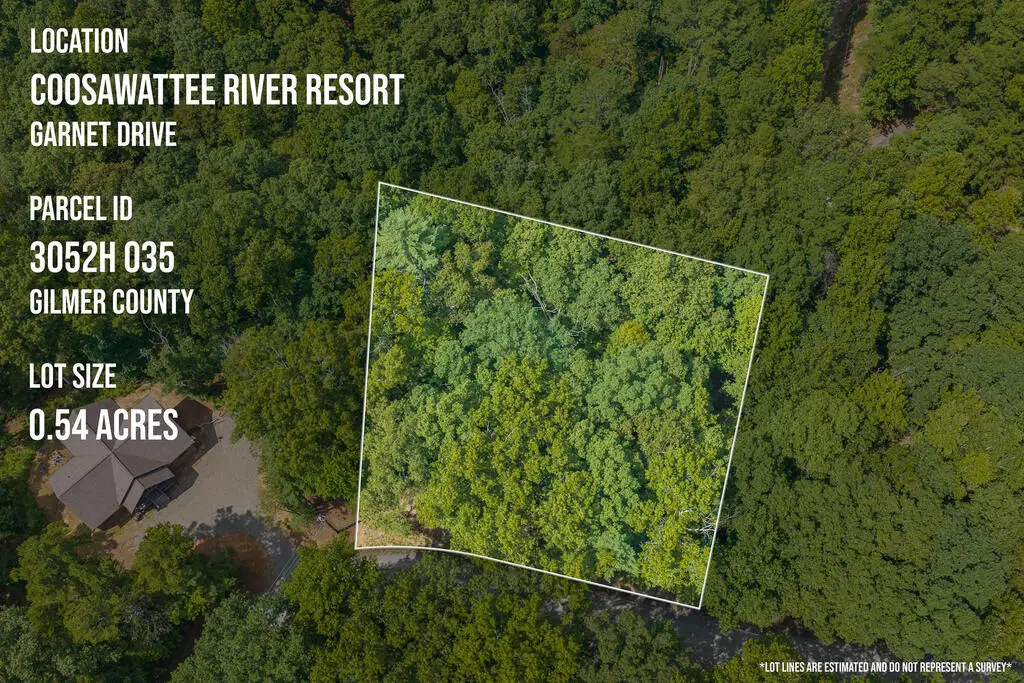 Lot 1999 Garnet Drive, Ellijay, GA 30540 - #1