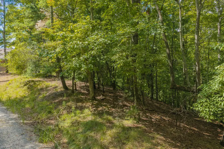 Lot 1999 Garnet Drive, Ellijay, GA 30540 - #3
