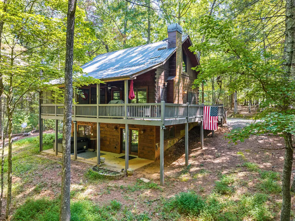 63 Bushy Head Road, Cherry Log, GA 30522 - #1