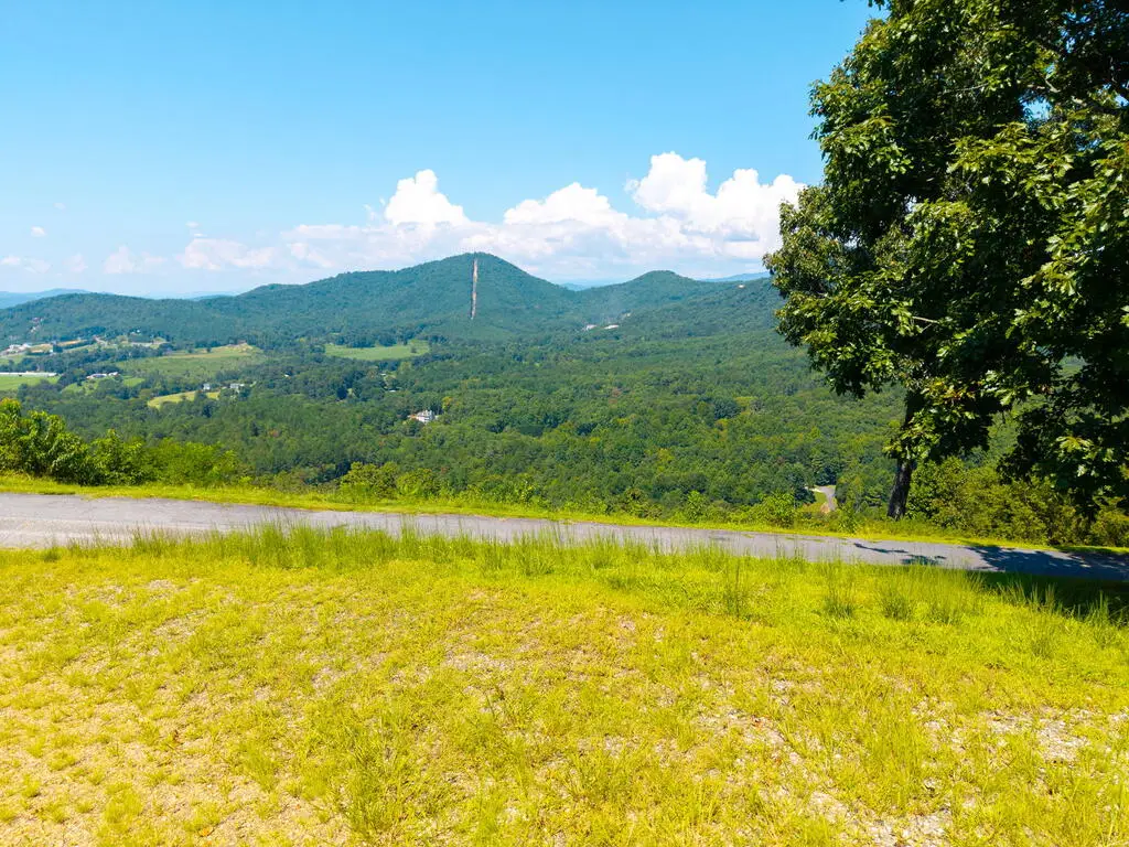 Lot 5 High Place, Young Harris, GA 30582 - #1