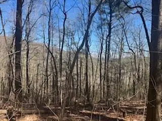 Lot 14 Butler Creek Road, Cherry Log, GA 30522 - #1