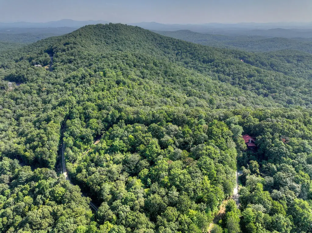 3.6 AC Prince Mountain Road, Cherry Log, GA 30522 - #1