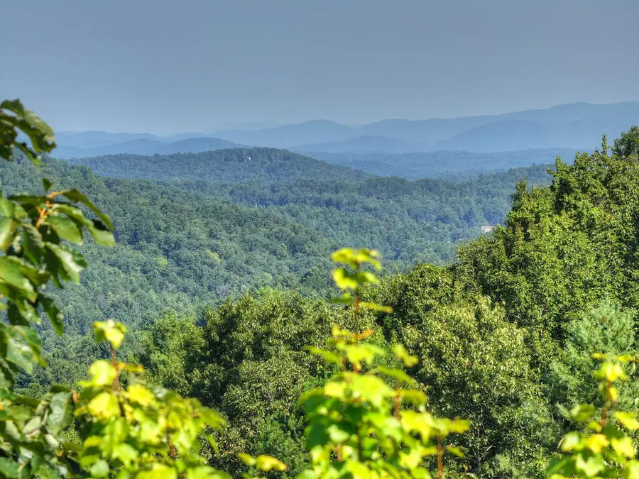 3.6 AC Prince Mountain Road, Cherry Log, GA 30522 - #3