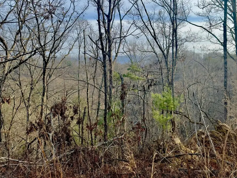 Tract 1 Century Lane, Blue Ridge, GA 30513 - #2