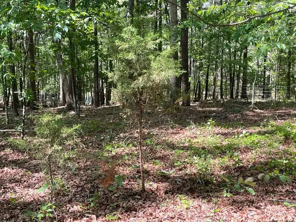 TRACT 2 Chalcrest Way, Cave Spring, GA 30124