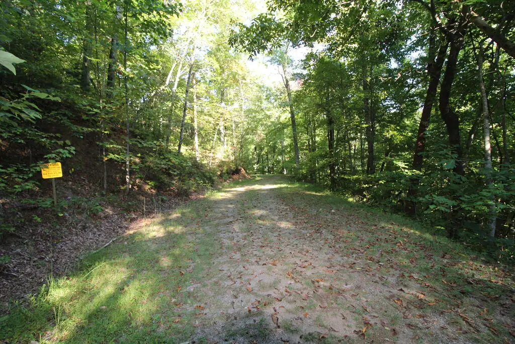 Lot 20 U Been Around The Circle, Hiawassee, GA 28904 - #1