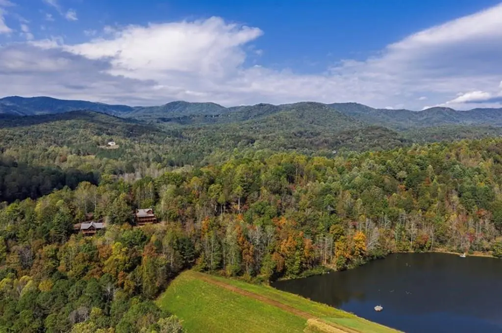 L81 Lillie Drive, Ellijay, GA 30540 - #1
