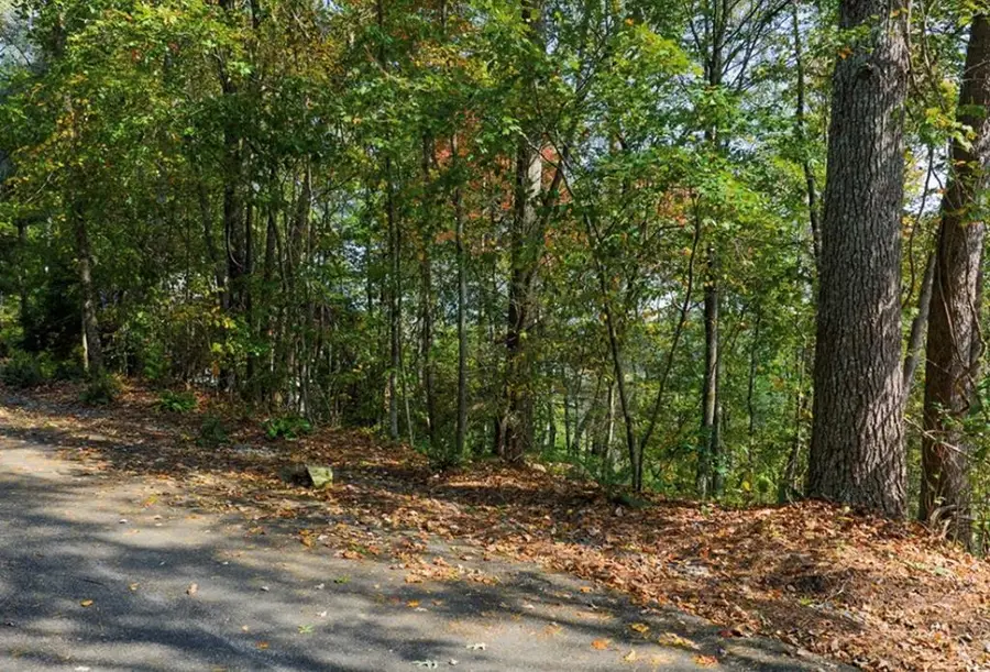 L81 Lillie Drive, Ellijay, GA 30540 - #2