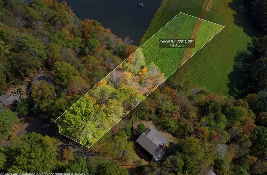 L81 Lillie Drive, Ellijay, GA 30540 - #3