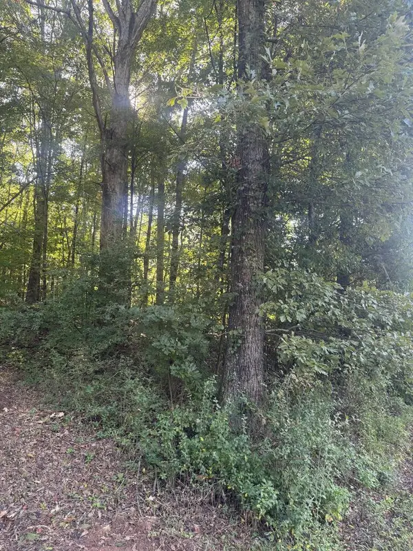 Lot 5 Roberts Ridge Road, Ellijay, GA 30540