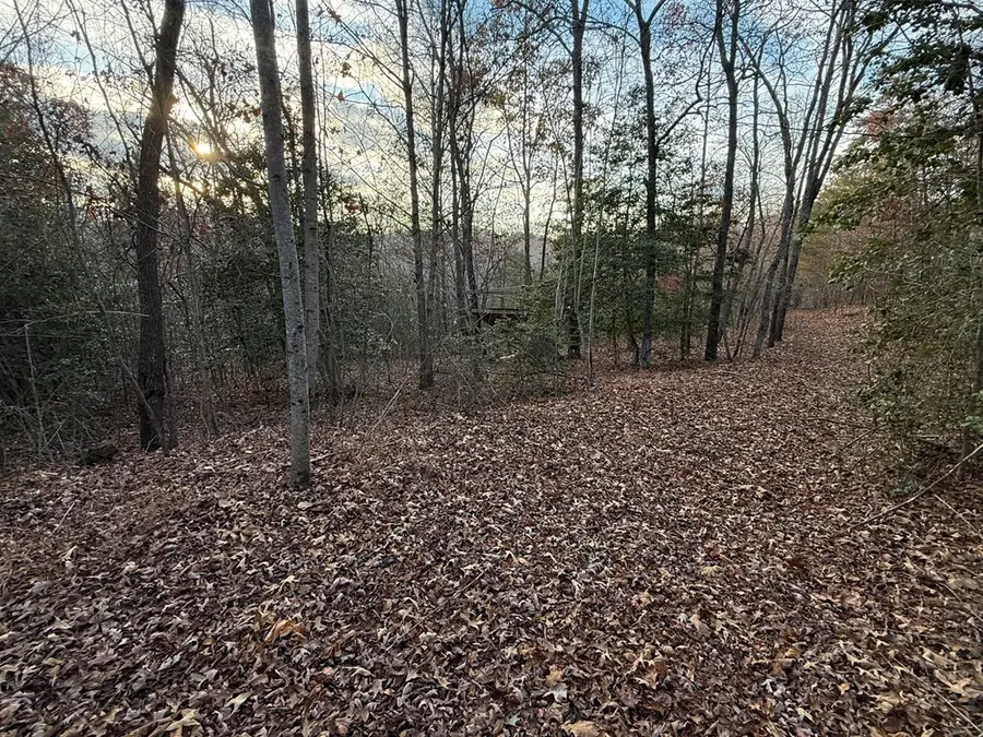 28/32 Stuart Ridge Road, Mineral Bluff, GA 30559 - #3
