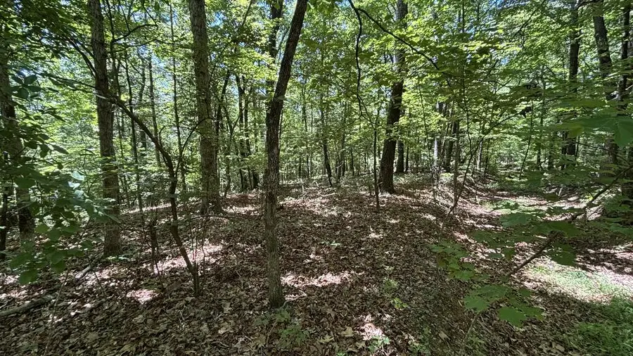 35 High Summit Drive, Talking Rock, GA 30175 - #2
