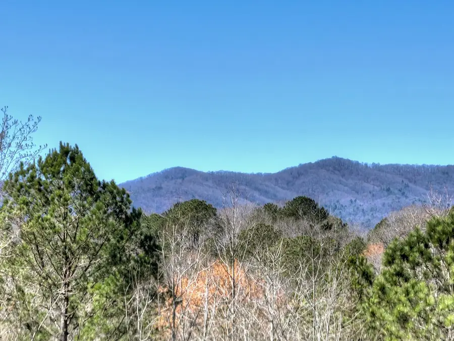 229-A Crossroads Church Road, Ellijay, GA 30540 - #3