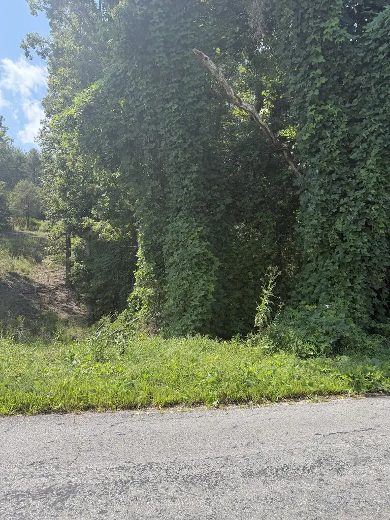 0 Taylor Hensen Road, Murphy, NC 28906 - #2