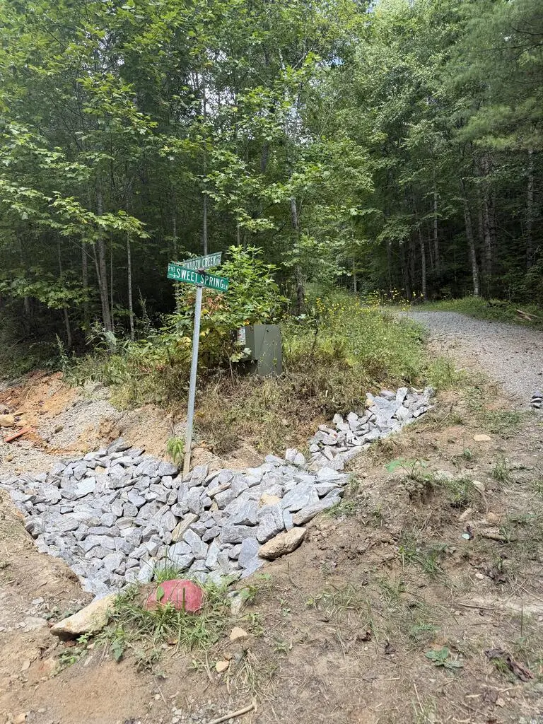 lot 77 Kudzu Creek Trail, Murphy, NC 28906 - #2