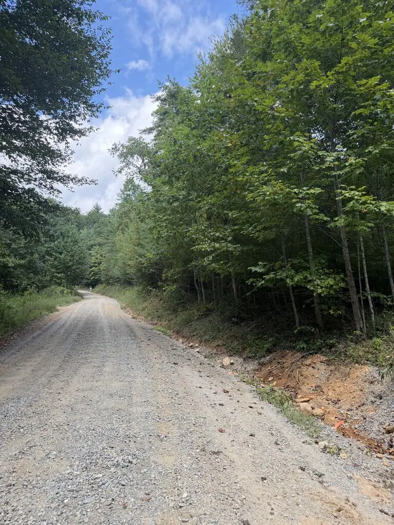 lot 77 Kudzu Creek Trail, Murphy, NC 28906 - #3