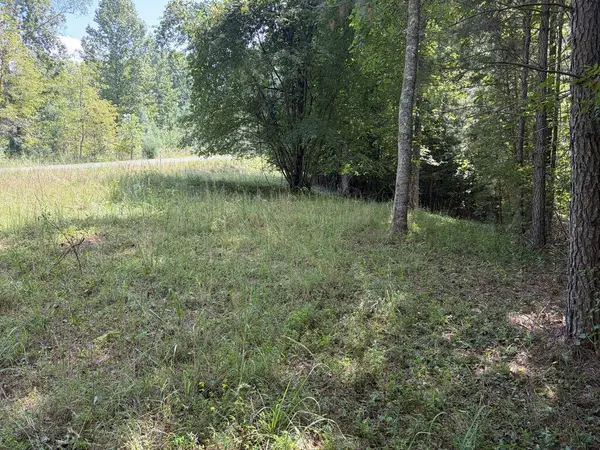 #41 Meadow Brooke Drive, Young Harris, GA 30582