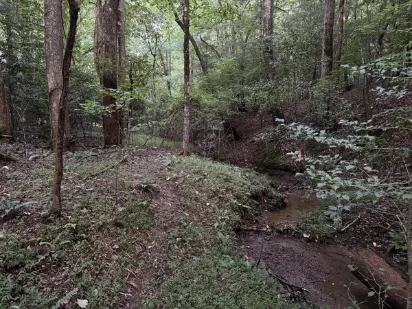 LT35 TR2 Scenic Drive, Hayesville, NC 28904