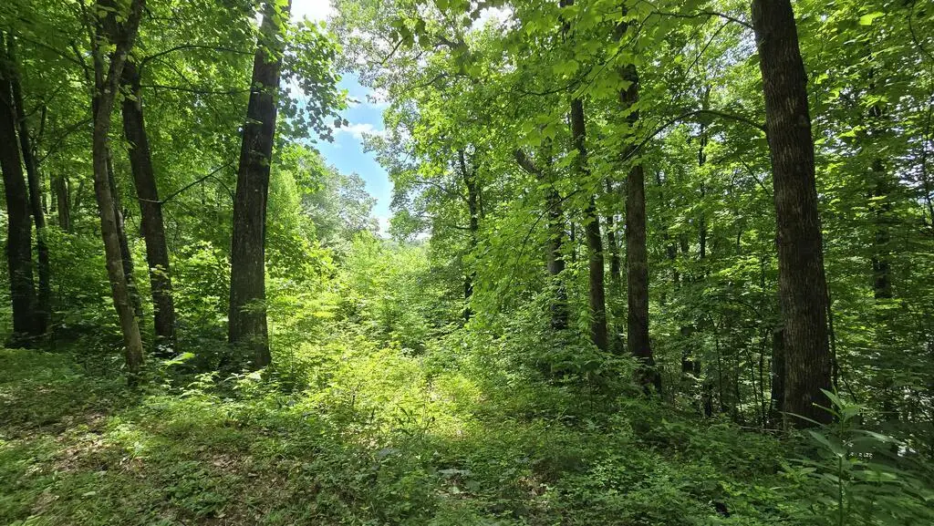 Lot 30 High Meadows, Hayesville, NC 28904 - #1