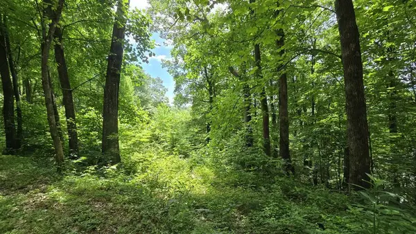 Lot 30 High Meadows, Hayesville, NC 28904