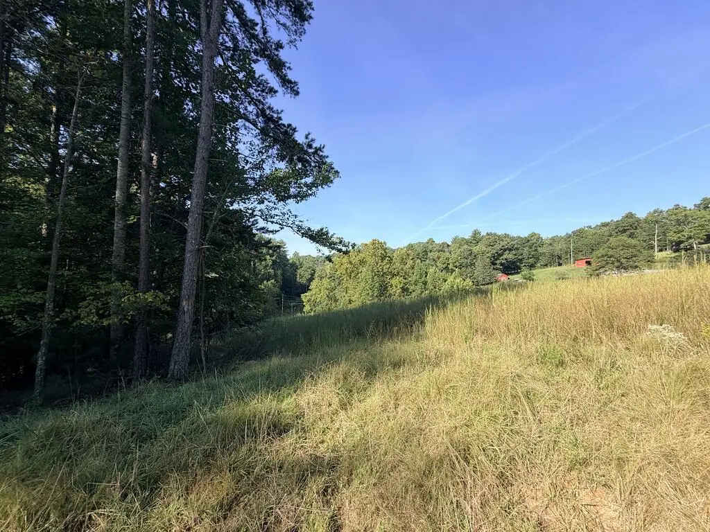 6260 Martins Creek Road, Murphy, NC 26906 - #1