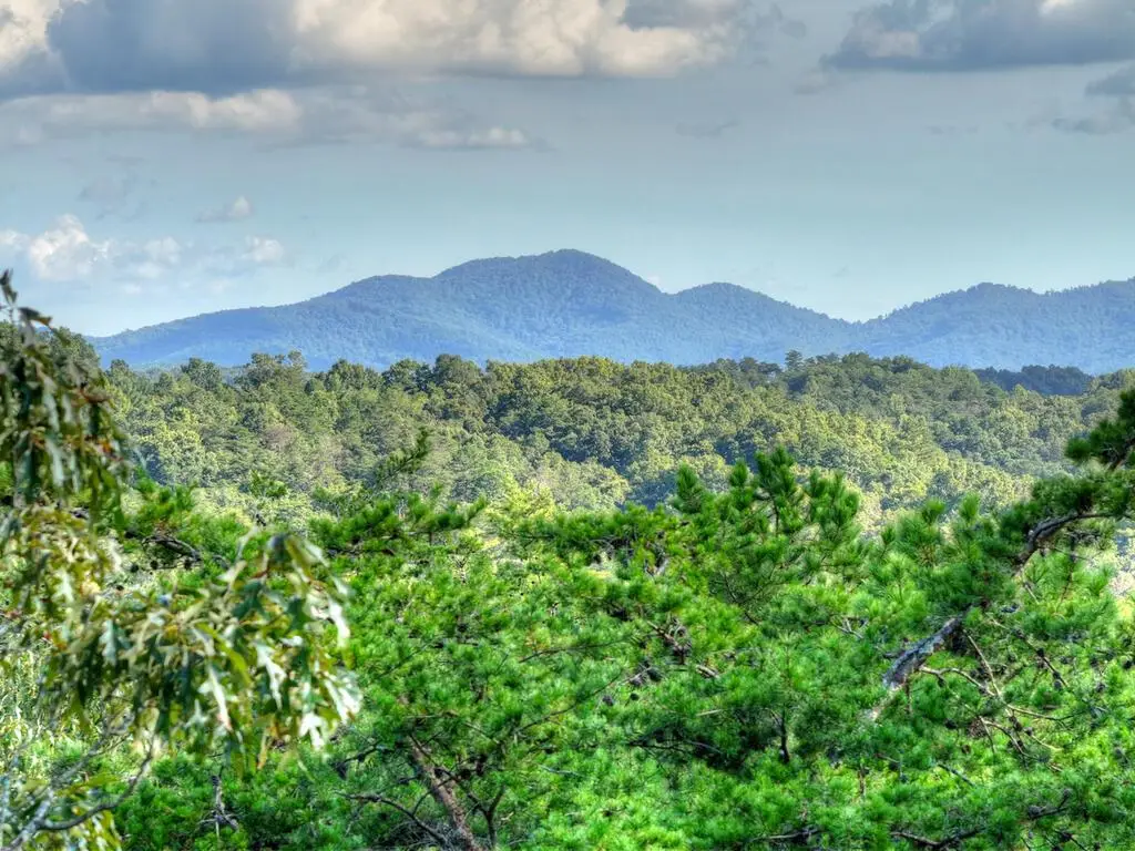 Lot #38 Ridgeline Lane, Mineral Bluff, GA 30559 - #1
