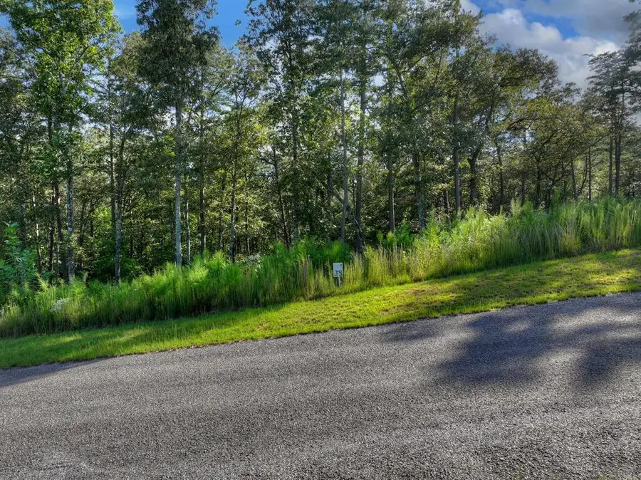 Lot #38 Ridgeline Lane, Mineral Bluff, GA 30559 - #2